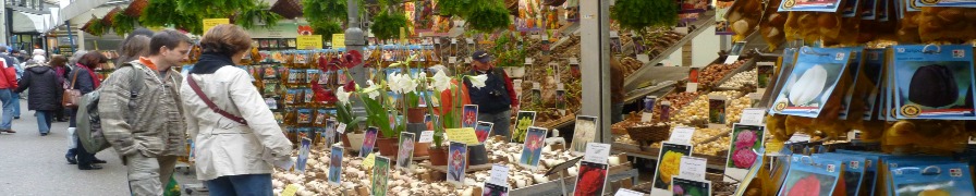 Amsterdam Floating Flower market bulb stall