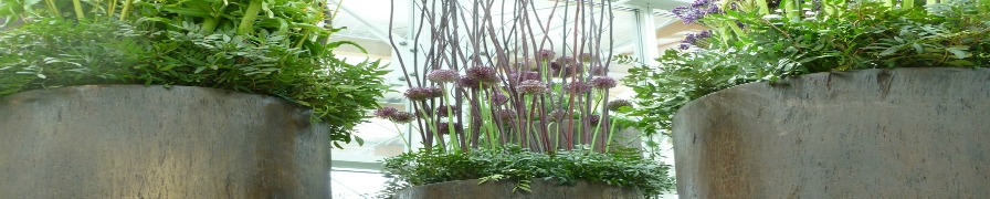 Floriade - Floral display