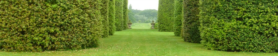 Yorkshire Tour - one of the gardens