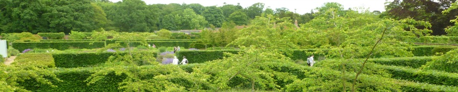 Another garden on the Yorkshire tour