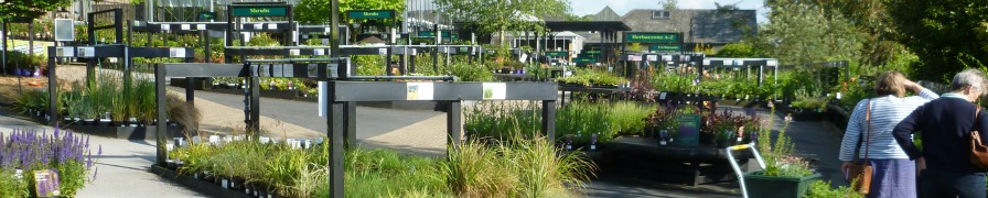 Yorkshire Garden Tour - buying the plants!