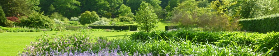 Yorkshire Garden Tour