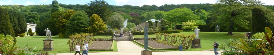 The gardens