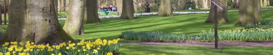 Keukenhof