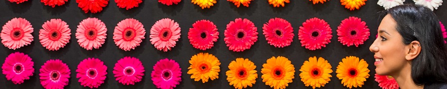 IPM Essen - Gerberas