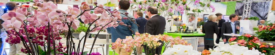 Ipm Essen - Foreground Orchids