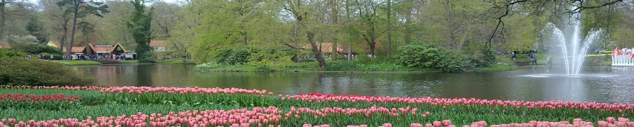 Keukenhof Spring 2013