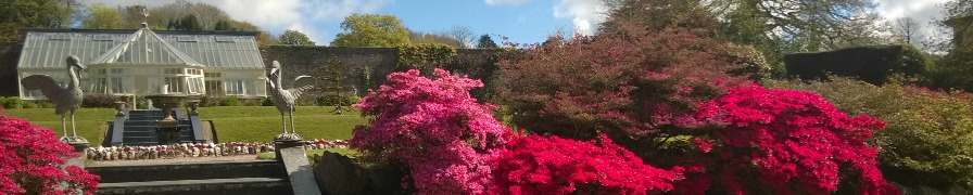 North Devon - Hartland Abbey