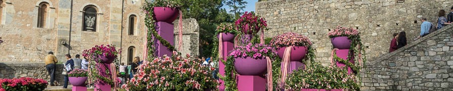 Girona Flower Festival 2016