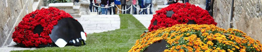 Girona Flower Festival