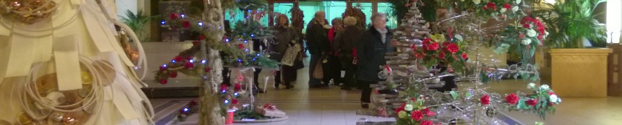 Festive Flower and Food Show Blackpool 2015 - Entrance