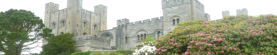 Penrhyn Castle and Gardens -3