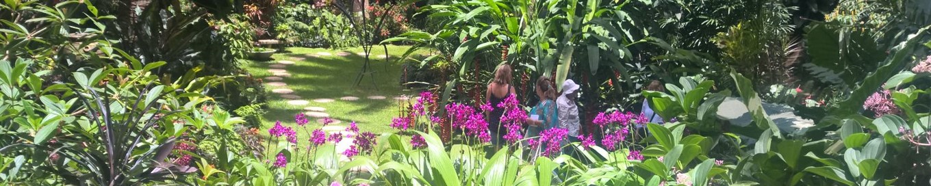 WAFA 2017  - Barbados - Hunte's garden - 4
