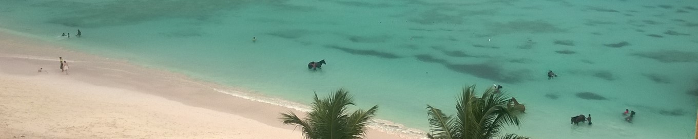 WAFA 2017 - Barbados - From the hotel balcony