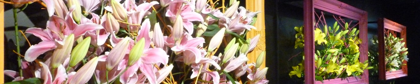 Keukenhof 2019 - Lilies in picture frames