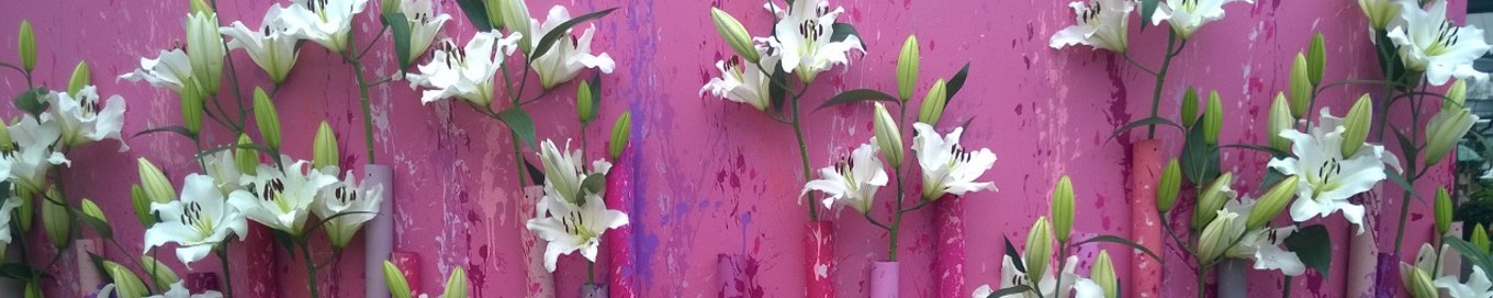 Keukenhof 2019 - Lilies on the wall