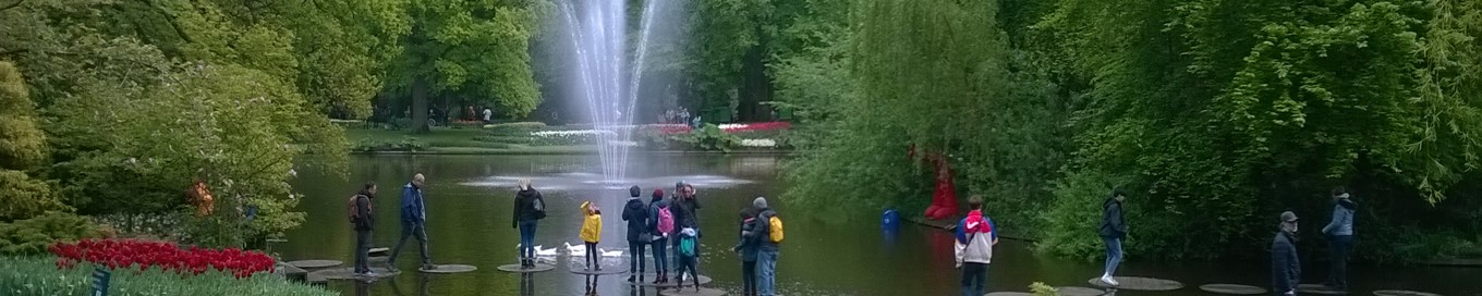 Keukenhof 2019 - The lake and stones