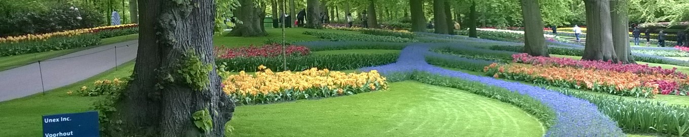 Keukenhof 2019 - Open spaces 2