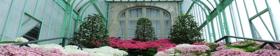 The Royal Glasshouses