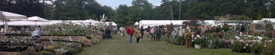 Courson plant stalls