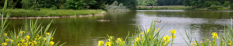 Courson Lake View