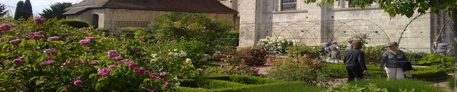 Abbaye Gardens - Rouen