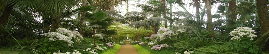 Royal Glasshouses - Path