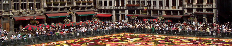 Carpet of flowers from the balcony