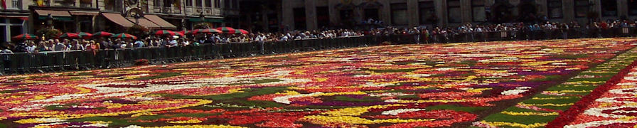 Carpet of Flowers Panoramic