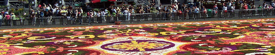 Carpet of Flowers main image